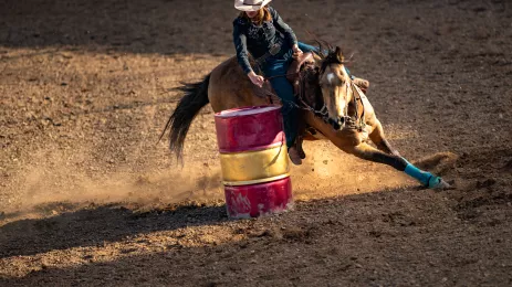 Woman on a brown horse maneuvering around a red and yellow barrel at the rodeo