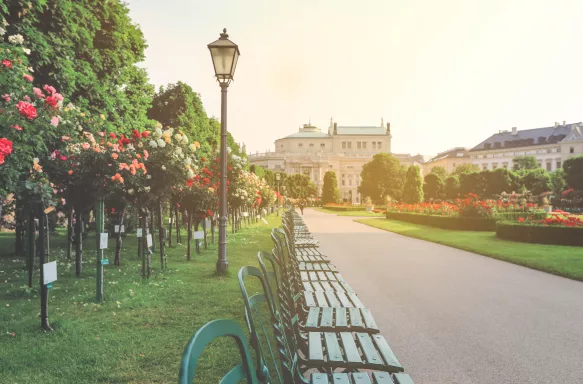 Garden with colourful roses and a row of green benches in Vienna