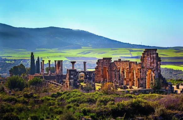 The Basilica of Volubilis in Morocco