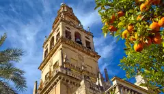 A view of the Bell Tower of Mosque-cathedral of Cordoba beneath a sky blue.