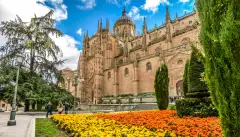 Colourful flowers in front of the Cathedral of Salamanca in Spain