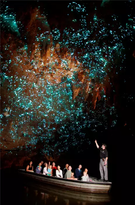 Boat ride through glow worm caves, Waitomo New Zealand